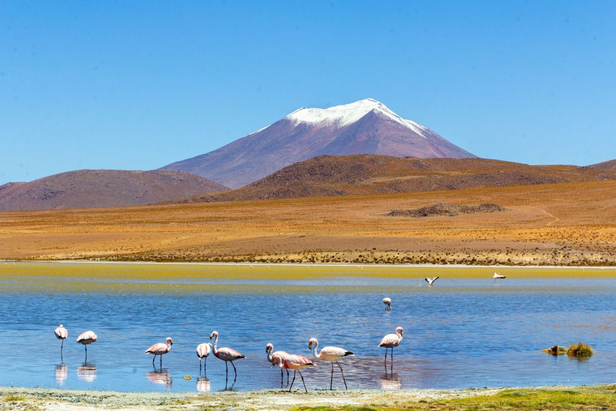 Viaje al sur bol_414