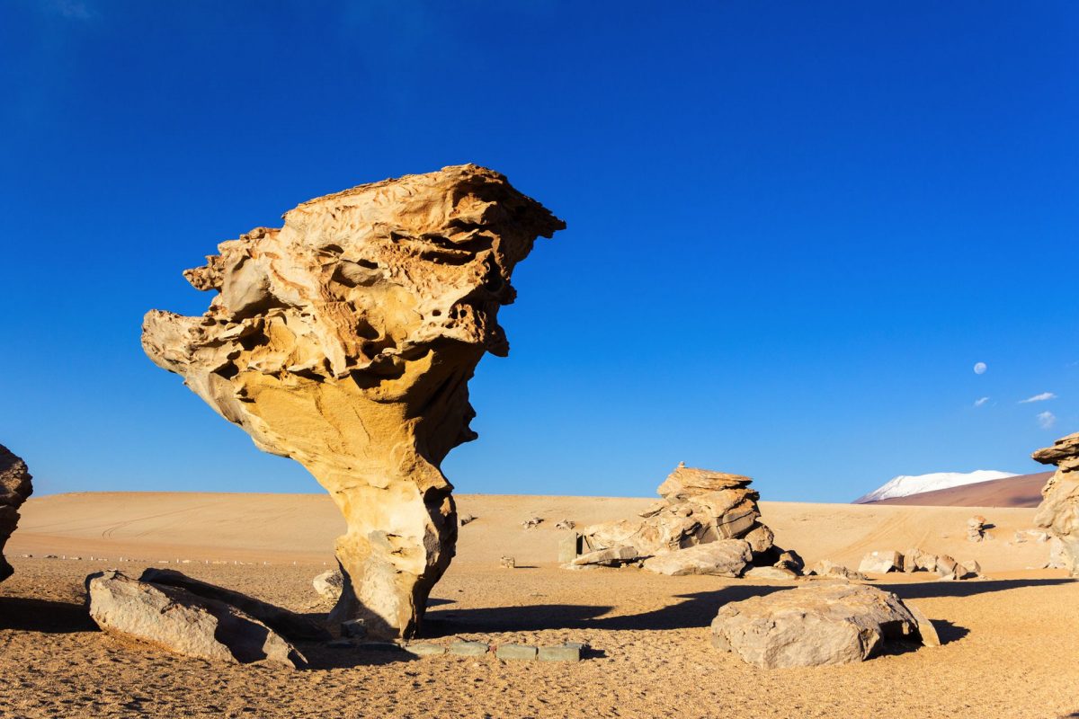 Viaje al sur bol_778