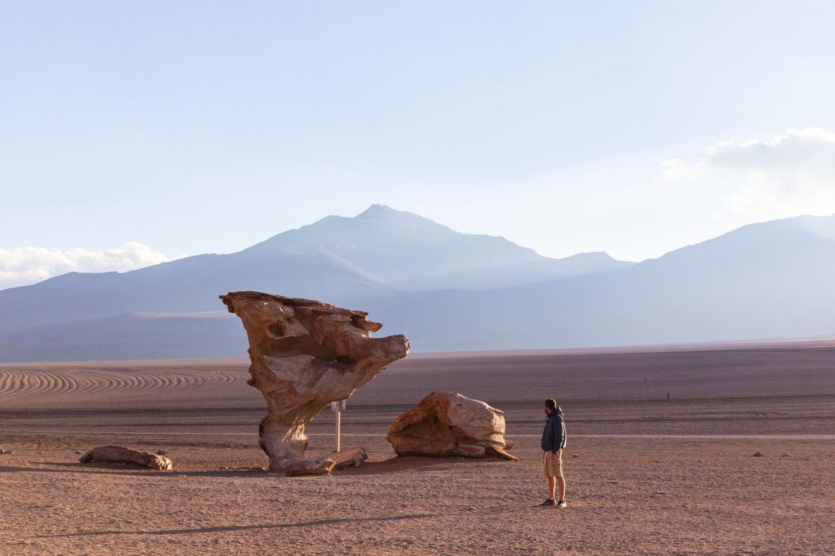 Viaje al sur bol_842