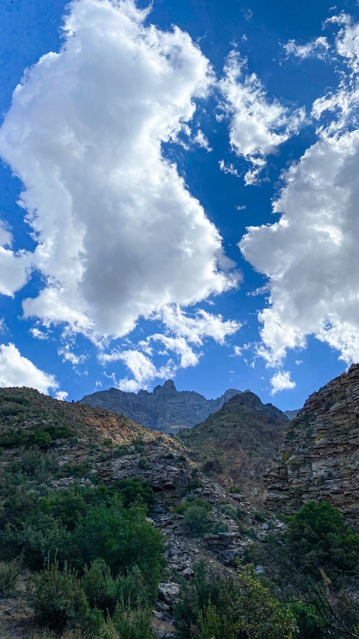Cerros gigantes BCF76579-E8A0-4E07-AF58-D51B11640908